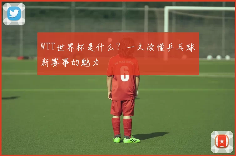 WTT世界杯是什么？一文读懂乒乓球新赛事的魅力