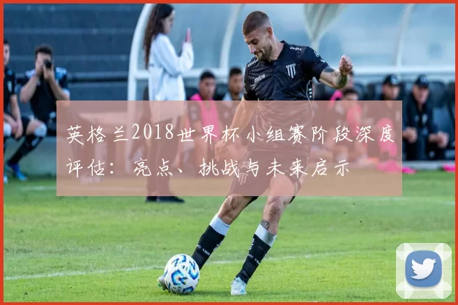英格兰2018世界杯小组赛阶段深度评估:亮点、挑战与未来启示