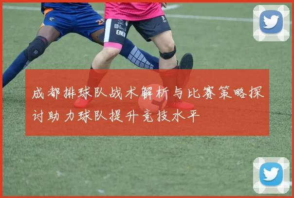 成都排球队战术解析与比赛策略探讨助力球队提升竞技水平