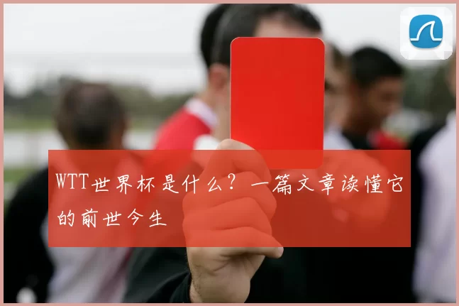 WTT世界杯是什么？一篇文章读懂它的前世今生