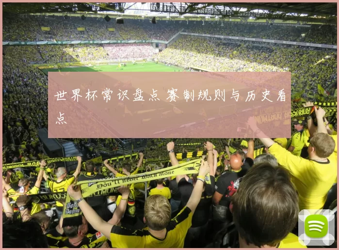 世界杯常识盘点 赛制规则与历史看点