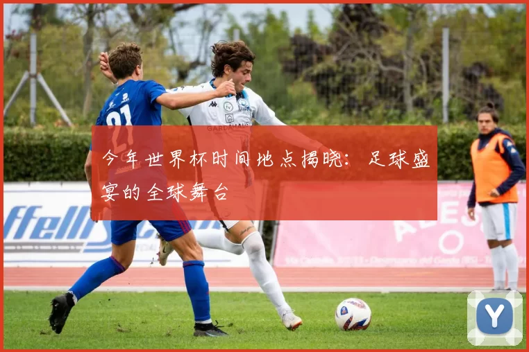今年世界杯时间地点揭晓：足球盛宴的全球舞台