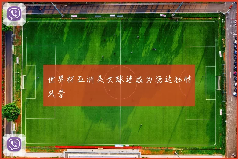 世界杯亚洲美女球迷成为场边独特风景