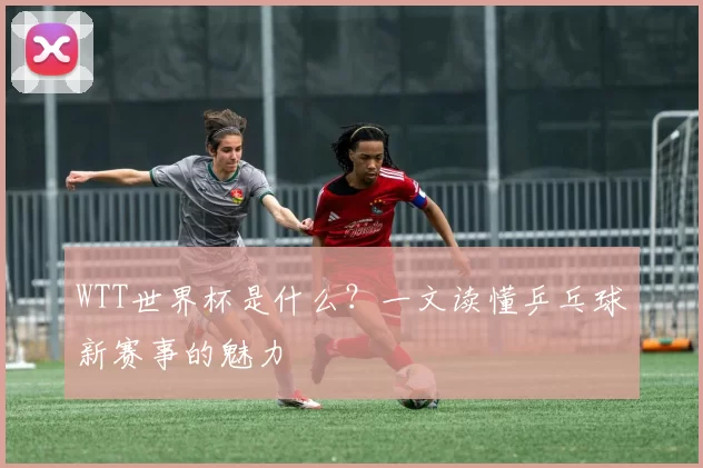 WTT世界杯是什么?一文读懂乒乓球新赛事的魅力