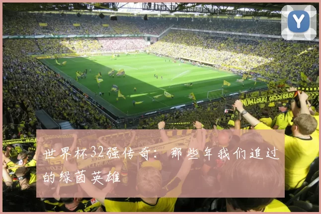 世界杯32强传奇:那些年我们追过的绿茵英雄