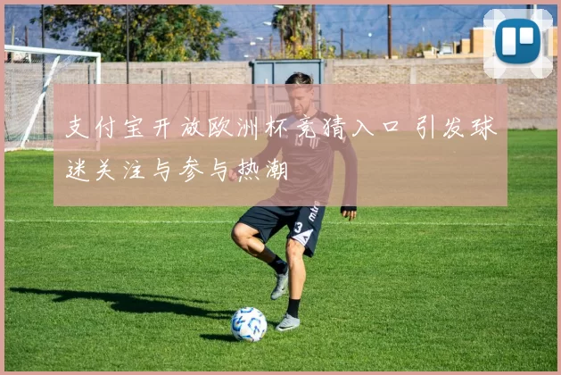 支付宝开放欧洲杯竞猜入口 引发球迷关注与参与热潮