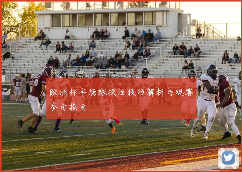欧洲杯半场球投注技巧解析与观赛参考指南